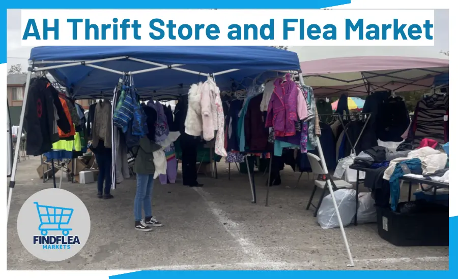 Exploring Hidden Gems at AH Thrift Store and Flea Market