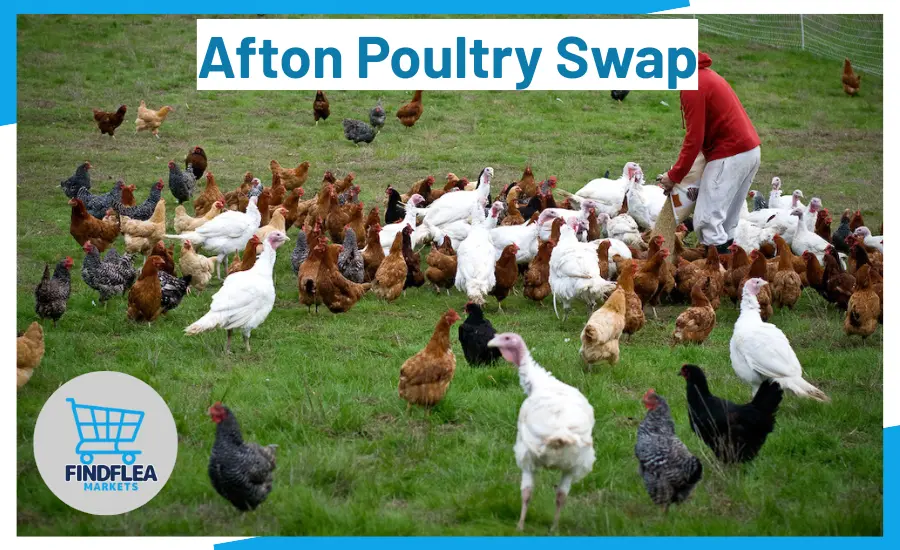 Afton Poultry Swap: My Hands-On Guide to This Vibrant Oklahoma Poultry Market