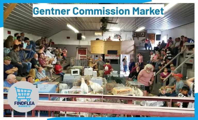 Gentner Commission Market