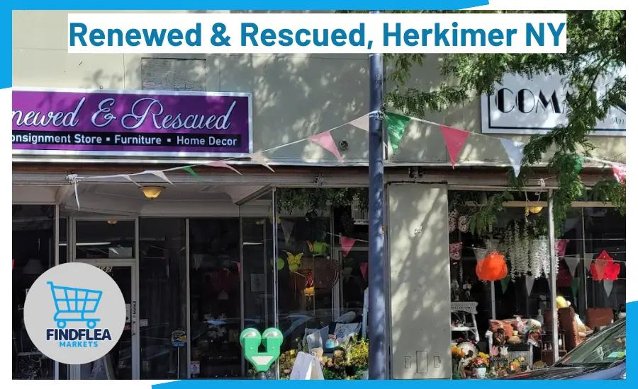 Renewed & Rescued