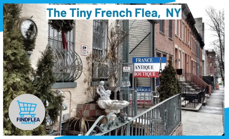 The Tiny French Flea