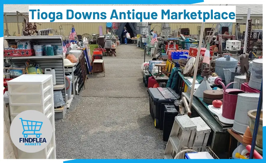 Tioga Downs Antique Marketplace: My Go-To Spot for Hidden Treasures in Nichols, NY