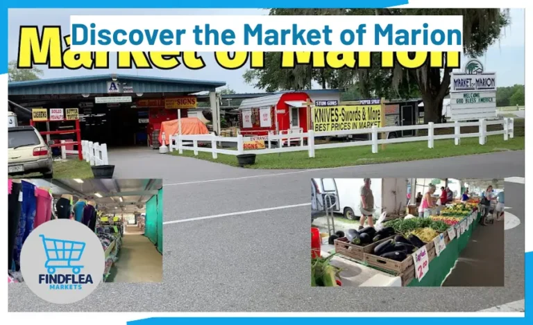 Discover the Market of Marion
