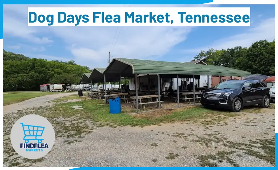 Dog Days Flea Market