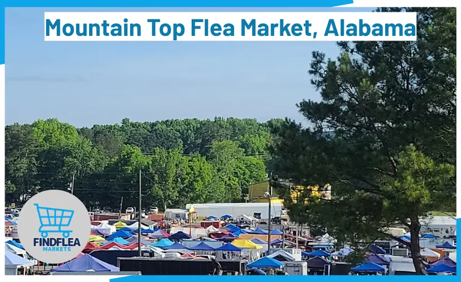 Mountain Top Flea Market